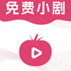 免费看片APPAPP应用
